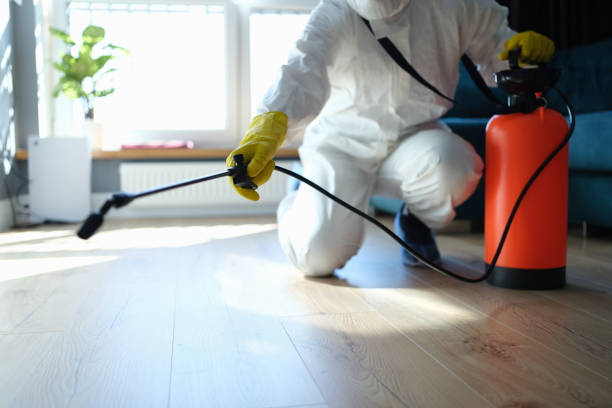 Best Affordable Pest Control Services  in Washburn, WI