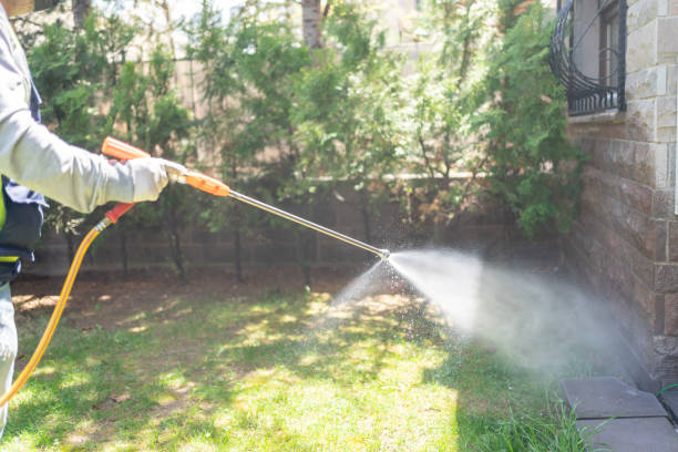 Best Best Pest Control Companies  in Washburn, WI