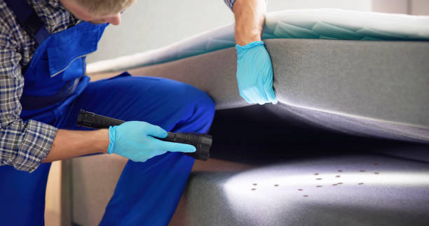 Best Mosquito Control Services  in Washburn, WI