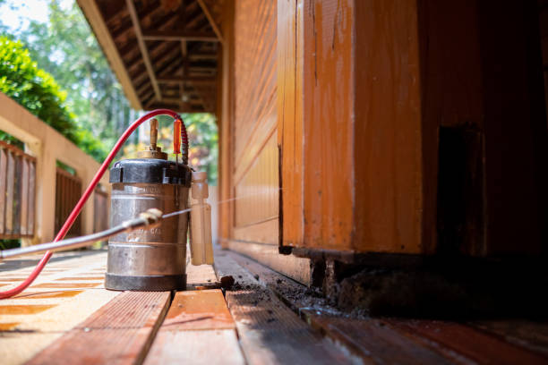 Best Termite Control Services  in Washburn, WI