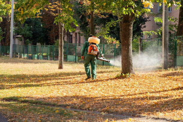 Best Insect Control  in Washburn, WI