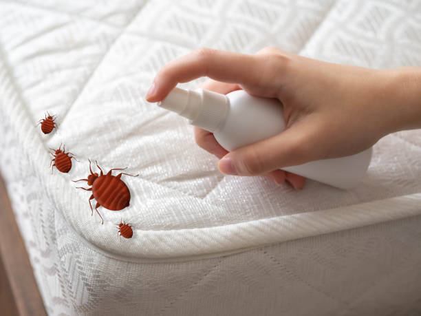 Trusted Washburn, WI Pest Control Experts